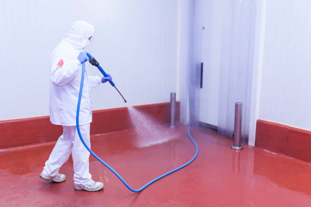 Boat and Dock Cleaning in Lincoln, AR
